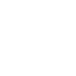 Bootcamp & Competition